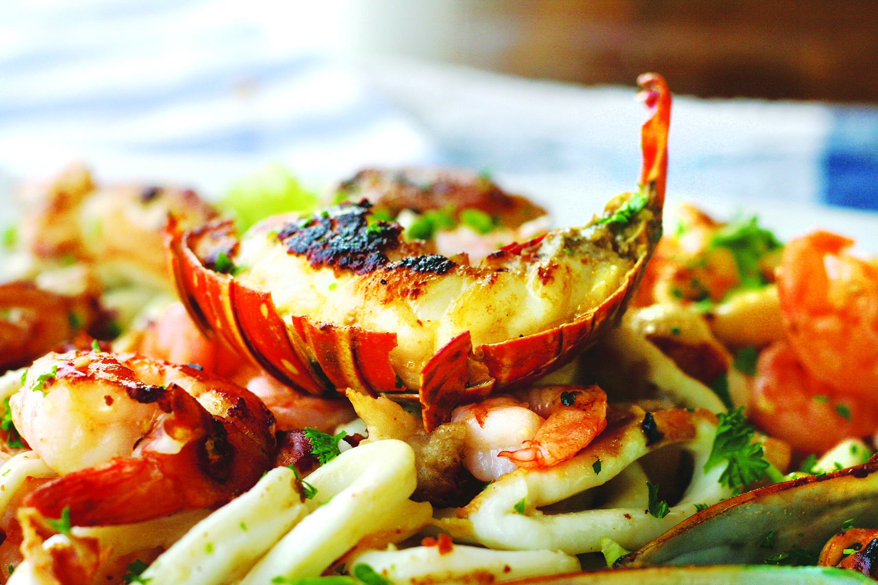 Lobster Thermidor in Miami – Cayo Esquivel